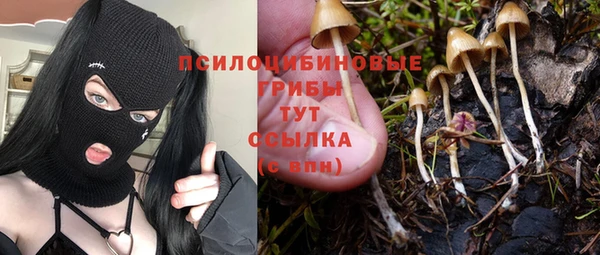 ALPHA PVP Богородицк