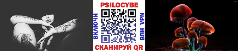 Галлюциногенные грибы MAGIC MUSHROOMS  наркошоп  Великий Новгород 