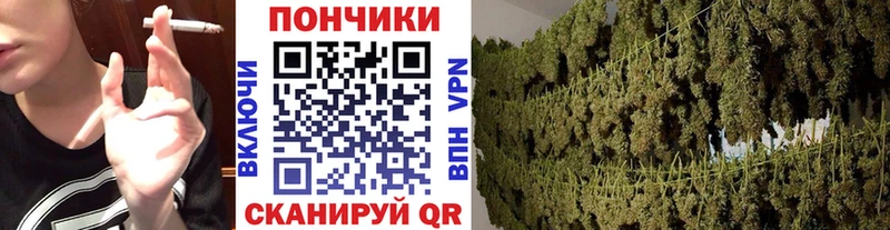 купить наркоту  Великий Новгород  МАРИХУАНА THC 21% 
